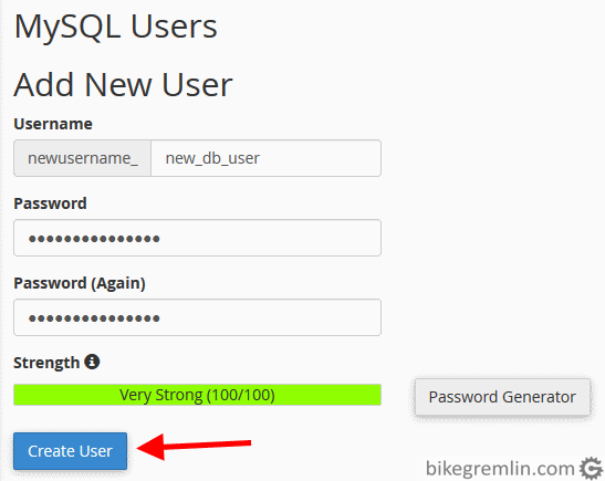 Crating a new user “newusername_new_db_user” for the database Picture 10