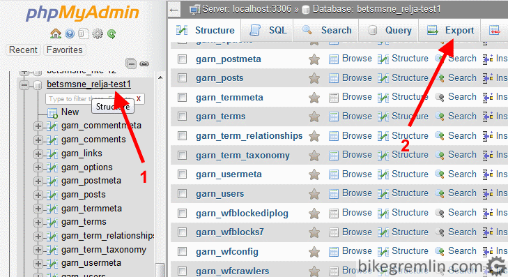 Choosing the desired database (1) and clicking “Export” (2) Picture 15