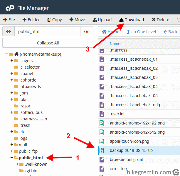 Choosing download of the compressed file Picture 7