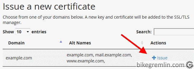 Choosing the certificate issue for example.com domain Picture 24