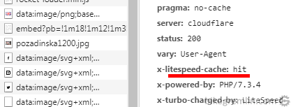 LiteSpeed has cached this page ("hit")