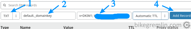 Copy/paste DKIM value into field (3), with other fields filled in as shown in the picture Click "Add Record" (4)