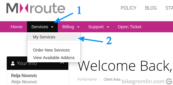 Izaberita "My Services" na MXroute portalu
