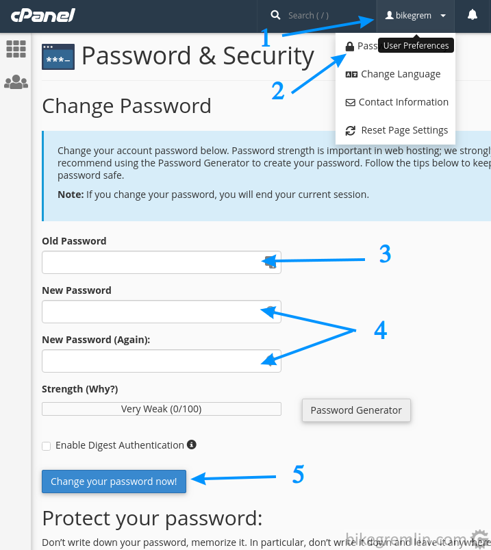 MXroute password change - same as with any cPanel
