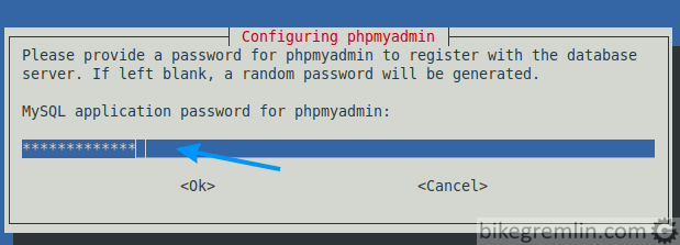 Enter a password for phpMyAdmin to connect to the database, hit Enter - then you will be asked to re-enter the password to confirm it