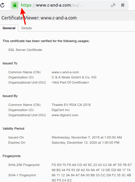 EV SSL/TLS certificate example