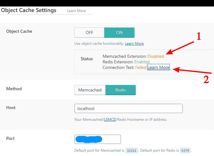 LiteSpeed Cache object cache settings and status report