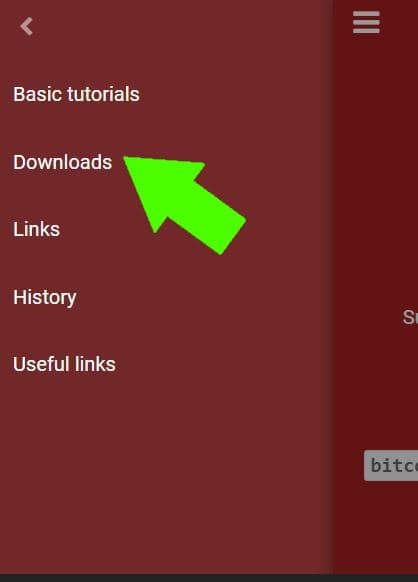 Zatim klik na opciju "Downloads", za Orux instalacioni fajl