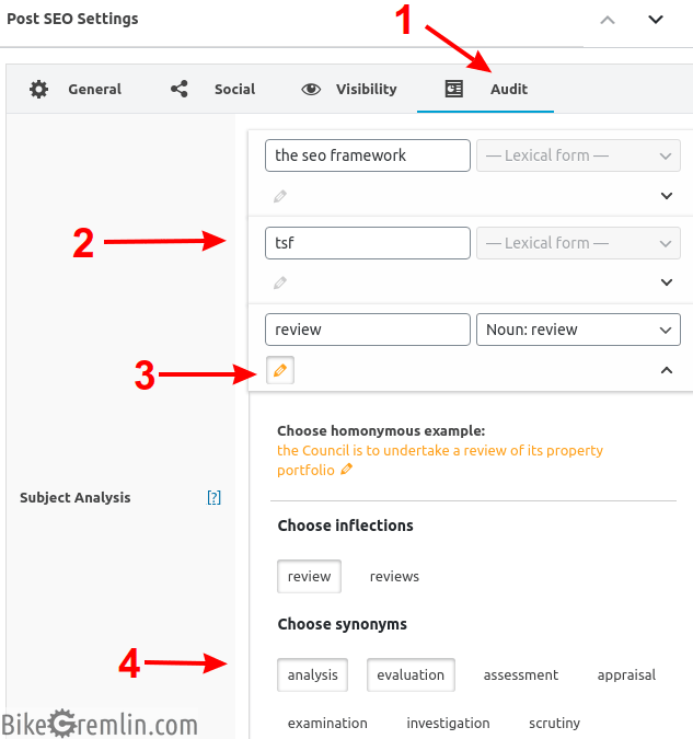 TSF Focus keyword setting and analysis