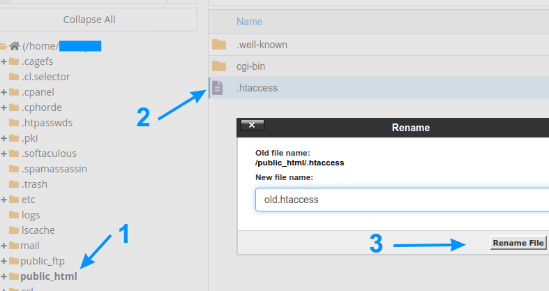 Rename, or delete htaccess file, from the public_html directory