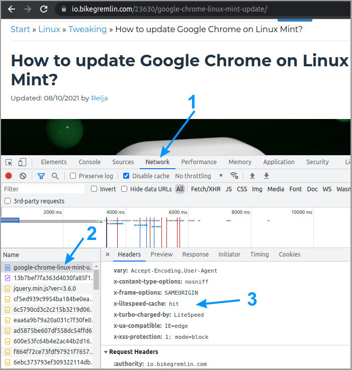 LiteSpeed Cache plugin testing