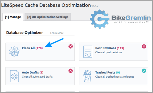 LiteSpeed database optimization