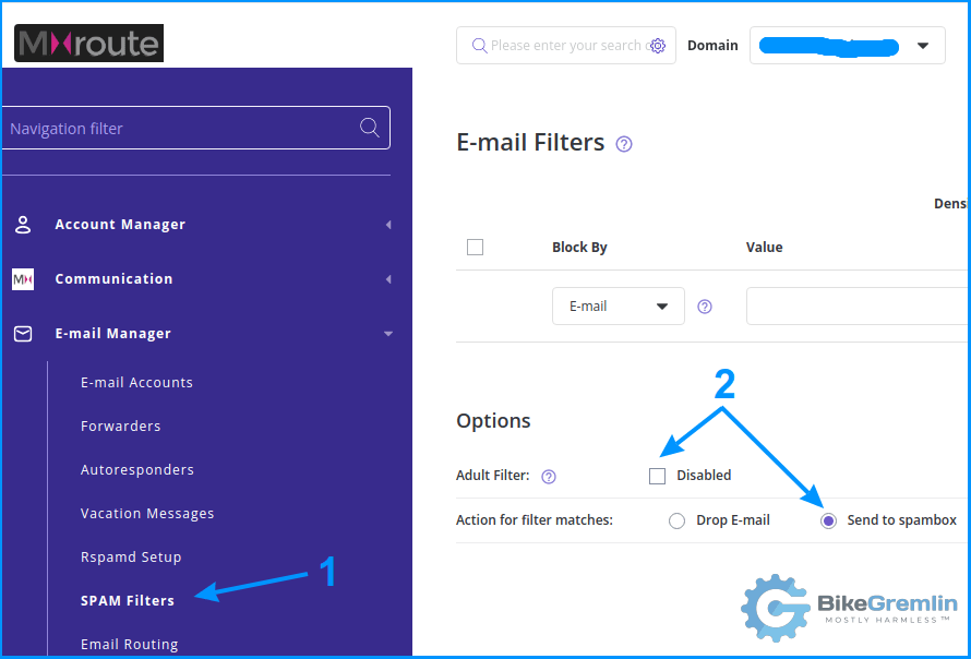 MXroute DirectAdmin panel spam box filter configuration