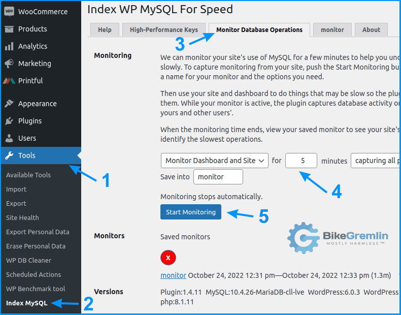 Configuring website monitoring with the Index WP MySQL For Speed plugin