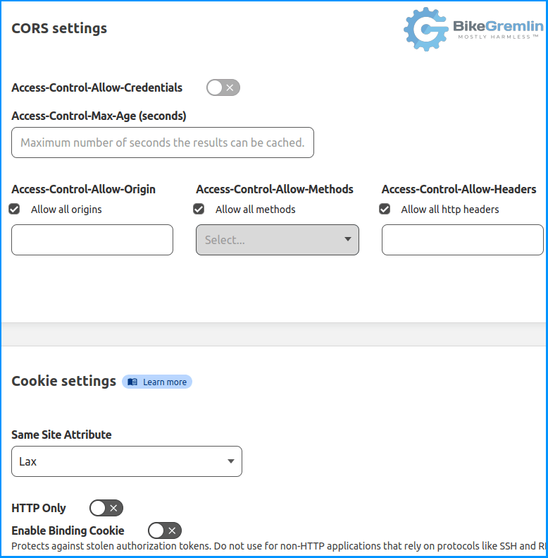 Cloudflare Zero Trust CORS settings