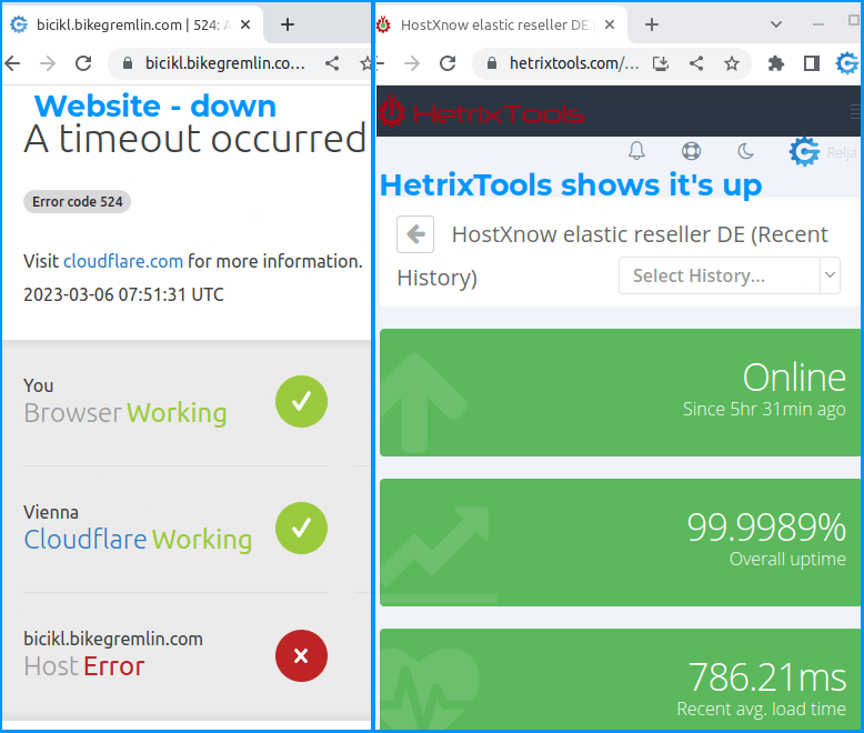 A website is down, while HetrixTools shows it being up - a strange Cloudflare-related problem
