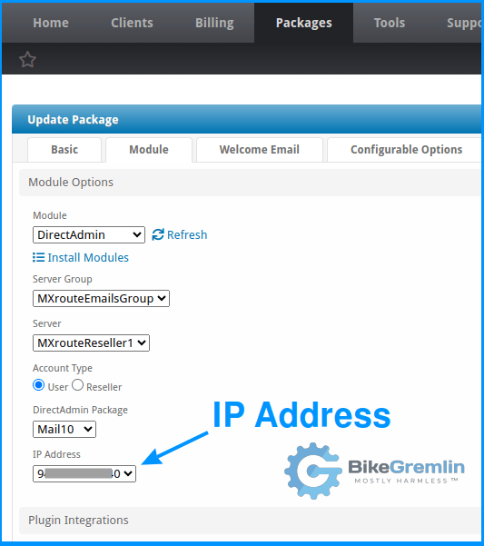 Blesta's Direct Admin server package IP address info