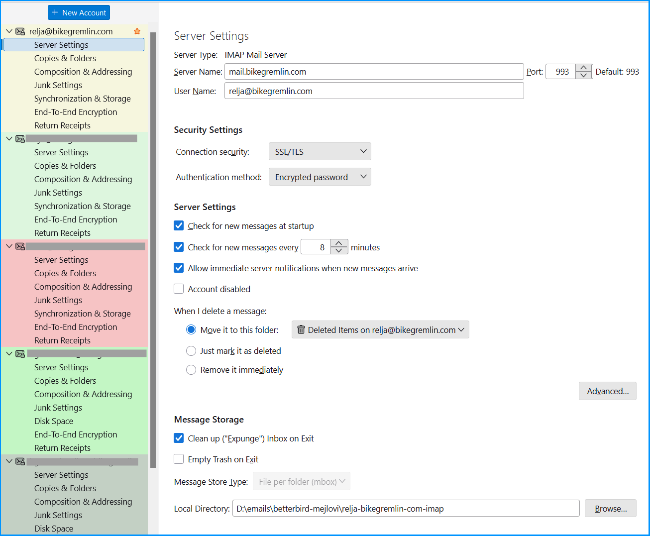 Betterbird "Server Settings" setup for IMAP use