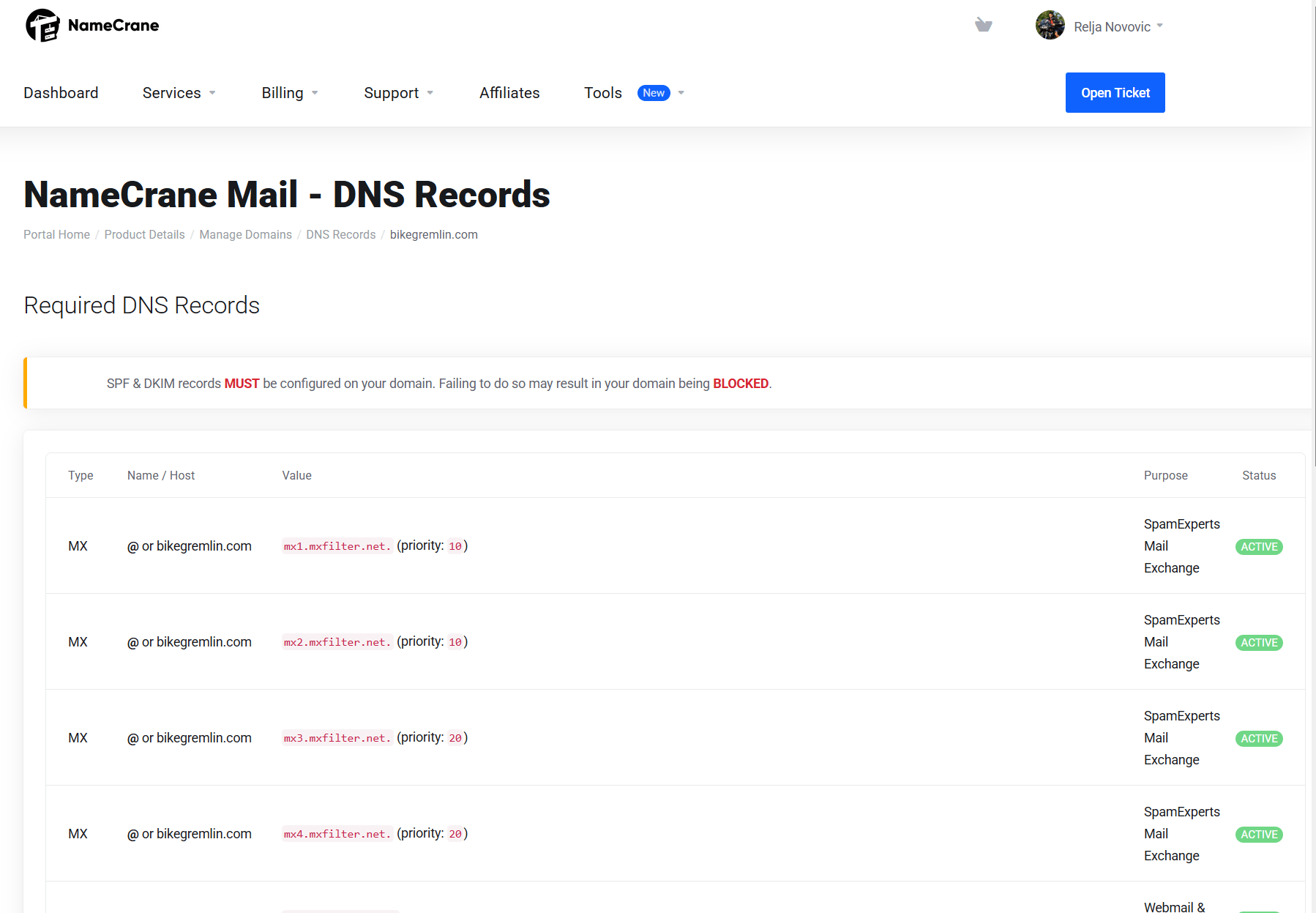 Cranemail's intuitive DNS setup guide