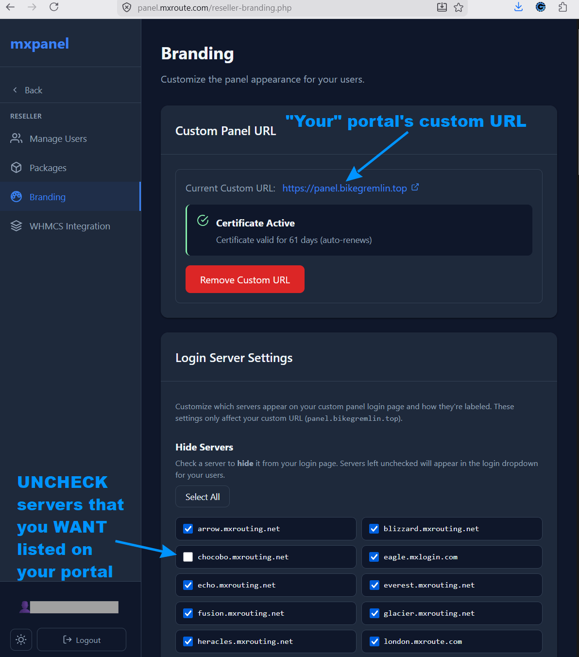 Custom portal and basic branding